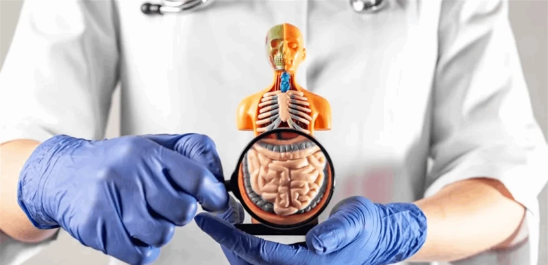 اختراق علمي هام.. هذا ما كشف عن علاج سرطان القولون صحة شاهد المقال التالي من صحافة لبنان عن اختراق علمي هام هذا ما كشف عن علاج سرطان القولون، وافقت