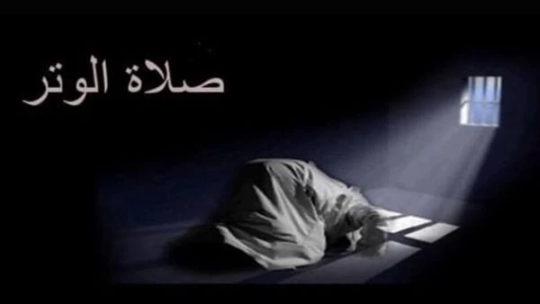 كيف تصلي صلاة الوتر ركعة واحدة؟.. أسرارها وفضلها قبل الفجركيف تصلي صلاة الوتر ركعة واحدة؟، واحدة من النوافل التي يكثر البحث عن فضلها، هي صلاة الوتر، فما هي كيفية أداء صلاة الوتر في