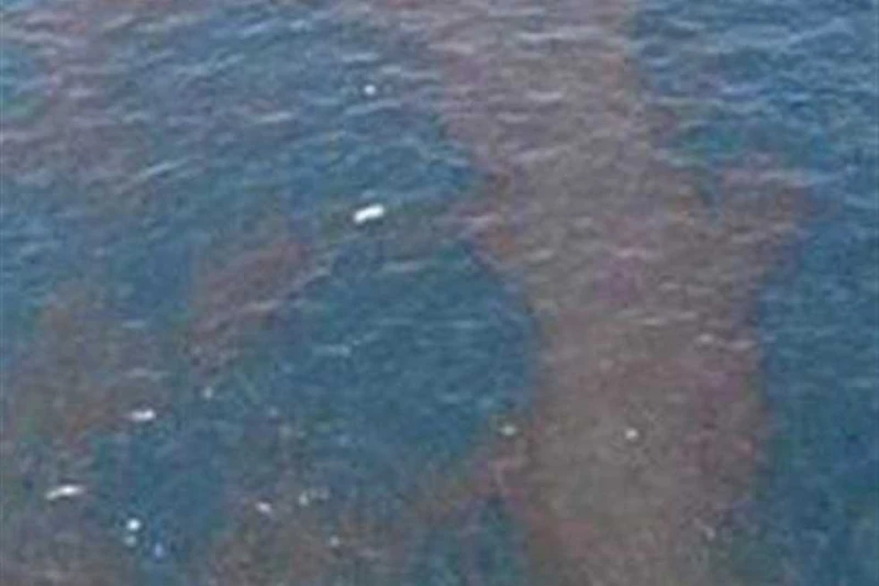 لظهور بقعة زيتية.. إيقاف مؤقت لمحطتي مياه القرنة وغرب النيل في الأقصر أعلنت شركة مياه الشرب والصرف الصحى بالأقصر أنه تم إيقاف مؤقت لمحطتتى القرنة وغرب النيل لوجود بقعة زيتيه فى نهر