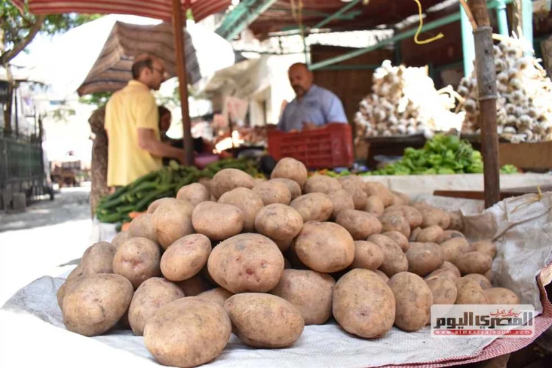 البطاطس ب30 جنيها.. أسعار الخضار في أسواق الإسكندرية اليوم الاثنين 12 أغسطس 2024 شهدت أصناف الخضروات في أسواق الجملة والشعبية بالإسكندرية، ارتفاعا