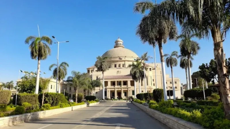 أقسام كلية تربية طفولة مبكرة جامعة القاهرة.. التفاصيل والمصاريف بالتزامن مع إعلان مكتب التنسيق تفاصيل نتيجة المرحلة الثانية من تنسيق الطلاب الذين