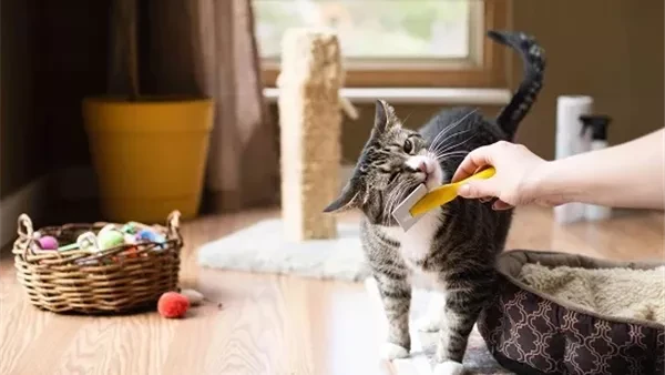 تخلص من روائح الحيوانات الأليفة في المنزل ب 8 نصائح عمليةتسبب رائحة الحيوانات الأليفة دخل المنزل بعض الروائح الكريهة، لذلك نقدم لك بعض النصائح