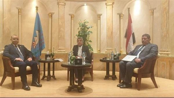 الكهرباء تفتتح الدورة التدريبية فى المجال الطب النووى للدول الأفريقيةافتتحت المهندسة صباح مشالى نائب وزير الكهرباء والطاقة المتجددة ، الدورة