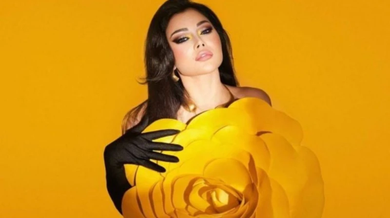 نقابة المهن التمثيلية ترفع الإيقاف عن هيفاء وهبي قررت نقابة المهن التمثيلية، برئاسة الدكتور أشرف زكي، رفع الإيقاف عن المطربة اللبنانية هيفاء وهبي،