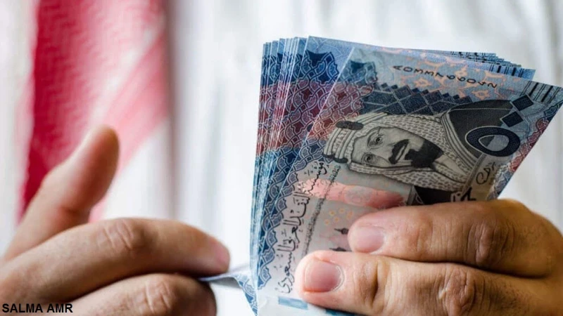 المؤسسة العامة للتأمينات الإجتماعية توضح حقيقة تأخير موعد صرف رواتب المتقاعدين لشهر سبتمبر 2024قامت المؤسسة العامة للتأمينات الاجتماعية بالإعلان عن