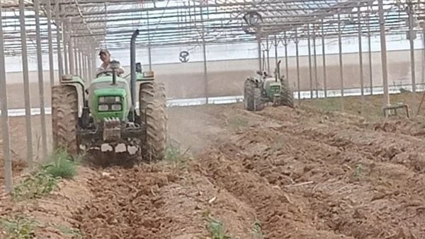 قطاع الزراعة الآلية يستعد لموسم حصاد الأرز وتلبية احتياجات المستثمرين والشركاتأكد د عادل الأشقر رئيس قطاع الزراعة الآلية بوزارة الزراعة ان القطاع يضم