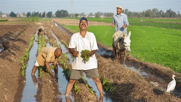 اختبار اللهجة الفلاحي.. احذر من الوقوع في إثم التنمر المحرم شرعاأصبح اختبار اللهجة الفلاحي محط أنظار رواد مواقع التواصل الإجتماعي الذين يهتمون بمثل هذه المشاركات حيث يدخلون في تحدي