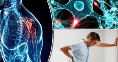 علاجات طبيعية للسيطرة على مرض التصلب المتعدد صحة وطب شاهد المقال التالي من صحافة مصر عن علاجات طبيعية للسيطرة على مرض التصلب المتعدد، قد يكون العيش