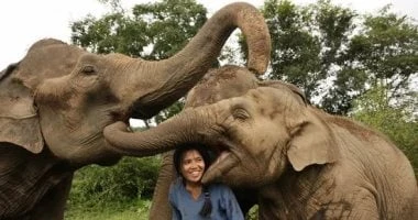 5 حاجات اتعلمها الإنسان من الحيوانات.. منها العطف والحنية المرأة والمنوعات شاهد المقال التالي من صحافة مصر عن 5 حاجات اتعلمها الإنسان من الحيوانات