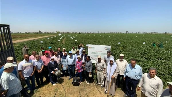 الزراعة و ايكاردا تنظمان يوم حقل بمحطة البحوث الزراعية بسدسنظم معهد بحوث المحاصيل الحقلية، التابع لمركز البحوث الزراعية، بوزارة الزراعة واستصلاح