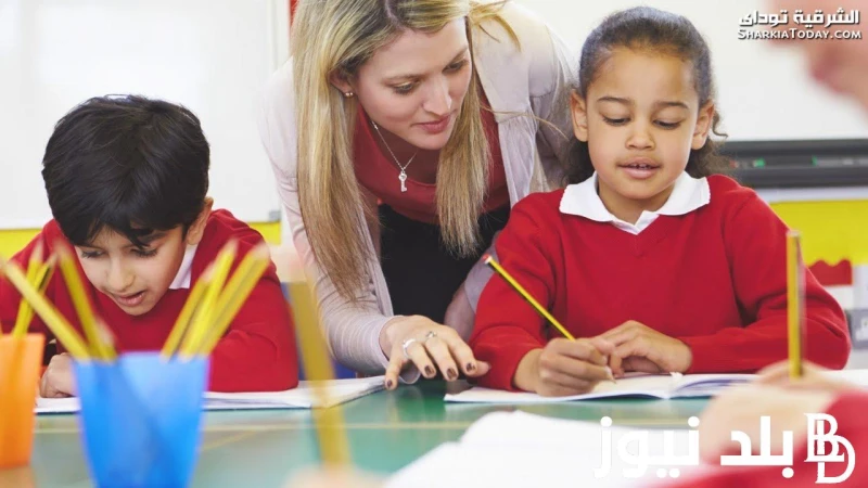 استغل وقت طفلك.. مهارات يتعلمها الطفل أثناء فترة الدراسة 2024 وأهم المراكز التعليمية التي يذهب إليها الطفل .() يبحث العديد من الأهالي عن مهارات يتعلمها الطفل أثناء فترة الدراسة، وأ