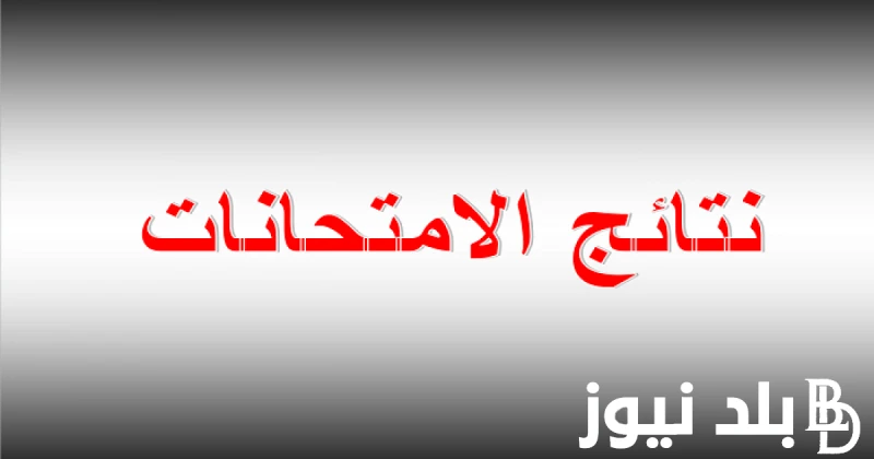 برابط فعال نتائج الثانوية العامة اليمن صنعاء 2024 برقم الجلوس ورابط استخراج النتائج عبر -. .() عمليات بحث كثيرة من طلاب الثانوية العامة باليمن حول