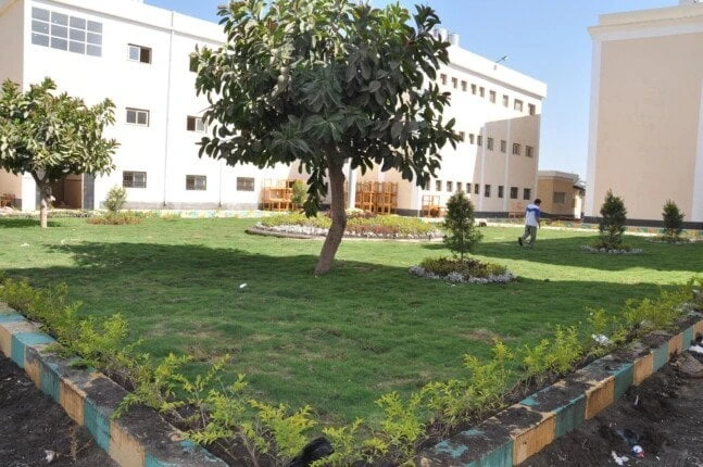 شروط السكن الجامعي للبنات 2025.. الأوراق المطلوبة وخطوات التقديمتزداد رغبة أولياء الأمور، في معرفة شروط السكن الجامعي للطالبات 2025، تزامنا إعلان نتائج تنسيق المرحلة الأولى والثاني