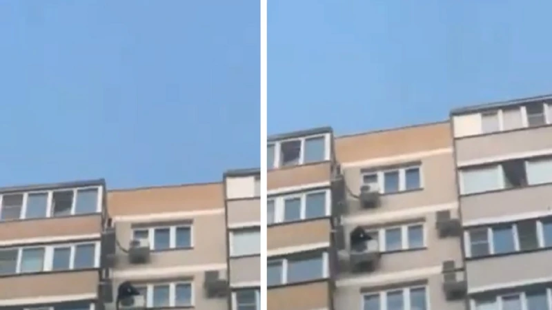 لحظة سقوط رجل من الطابق ال 16 .. فيديو اخر خبر شاهد المقال التالي من صحافة السعودية عن لحظة سقوط رجل من الطابق ال 16 فيديو، شهدت مدينة كراسنودار