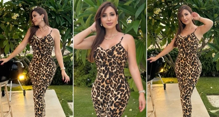 نسرين طافش تستعرض رشاقتها بفستان تايجر في أحدث ظهور افاق عربية - أطلت نسرين طافش بفستان طويل بنقشة التايجر، تاركة شعرها ينسدل ناعما على كتفها، مع
