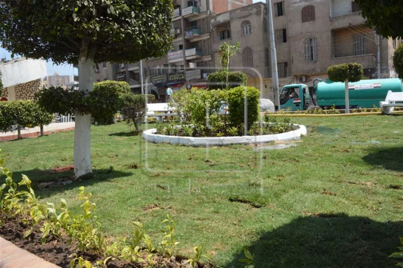 لإعادة الصورة الجمالية.. زراعة 2000 شجرة بحديقة ميدان الإسكندرية بحي أول طنطا قام اللواء أشرف الجندي محافظ الغربية بجولة ميدانية لتفقد اعمال التطوير
