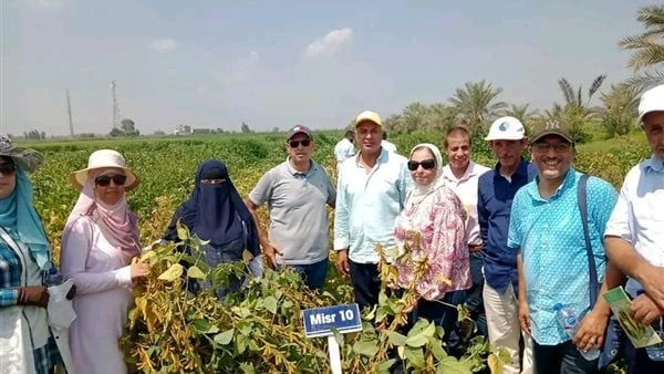 القومى للجينات ينظم يوما حقليا لمتابعة التنوع الوراثي للشمام ولوبيا العلف قام البنك القومي للجينات بالتعاون مع صندوق المحاصيل الدولي للنهوض ببنوك الجينات (التنوع البيولوجي للفرص وس