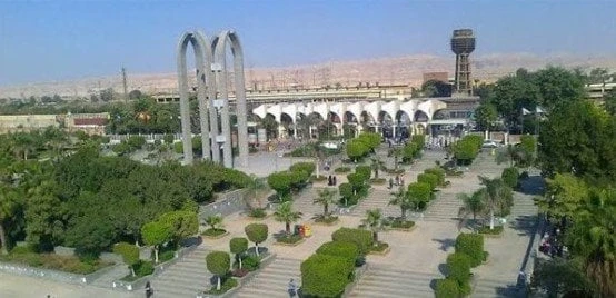 بعد إطلاقها رسميا.. تنسيق كلية علوم التغذية في جامعة حلوانكلية علوم التغذية.. وافق المجلس الأعلى للجامعات على إطلاق أول كلية ل علوم التغذية ب جامعة