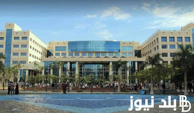 مؤشرات تنسيق الكليه المصريه الصينيه للتكنولوجيا ومصروفتها للعام الدراسي الجديد 20242025 .() تصدر تنسيق الكليه المصريه الصينيه للتكنولوجيا عبر محركات