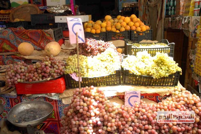 التين ب40 جنيها والعنب ب35.. أسعار الفاكهة في أسواق الإسكندرية اليوم الأربعاء 14 أغسطس 2024 تشهد أسعار الفاكهة في أسواق الإسكندرية، ارتفاعا طفيفا في معظم الأصناف، من بينها التين وا