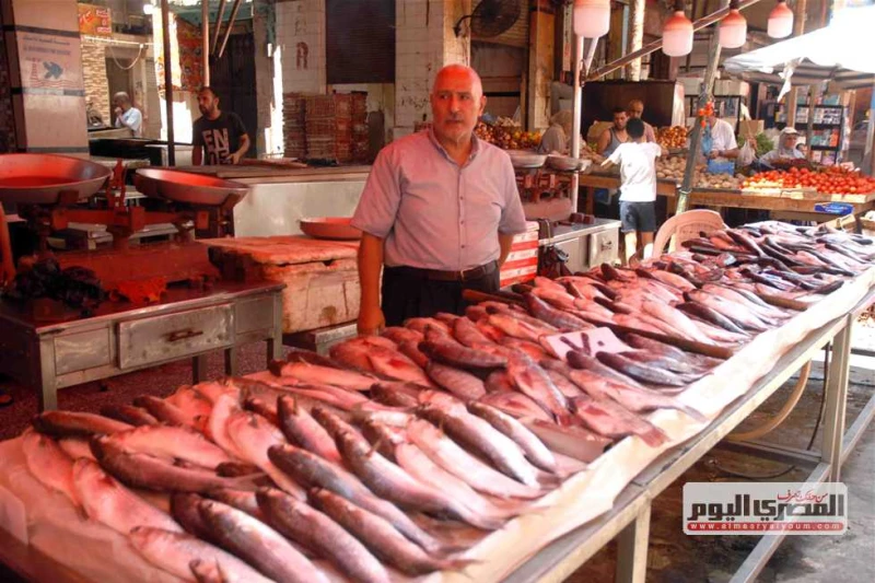 البلطى ب85.. أسعار السمك والمأكولات البحرية اليوم الثلاثاء في أسواق الإسكندرية تشهد أسواق السمك الشعبية وحلقة الأنفوشى في الإسكندرية، ارتفاعا بأسعار