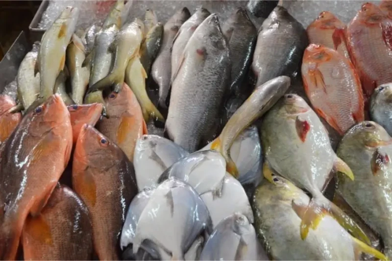 اسعار السمك اليوم البلطي في مصر الاحد 25 اغسطس 2024 سوق العبور للاسماك تتجه الأنظار نحو الأسواق المصرية اليوم، حيث يبحث المستهلكون بشكل متزايد عن أسعار السمك اليوم الطازج والمجمد ع