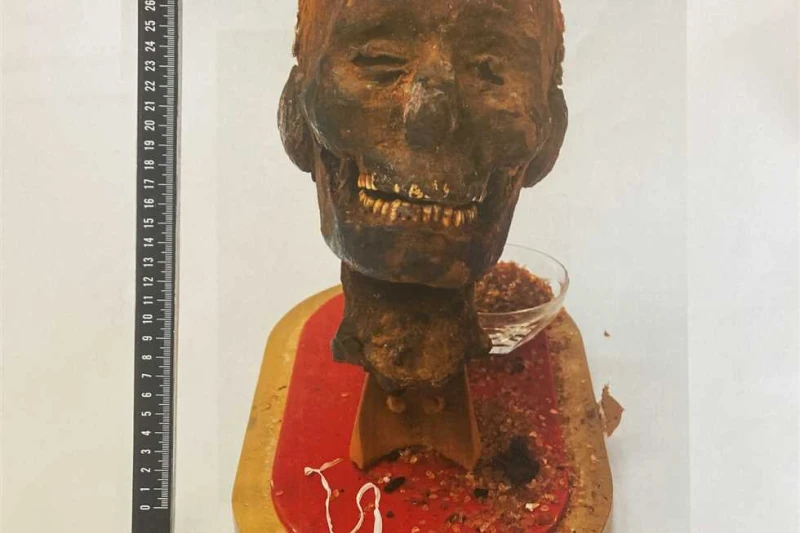منها رأس مومياء.. استرداد 3 قطع أثرية من هولندا خرجت من البلاد بطريقة غير شرعية (تفاصيل) تسلمت السفارة المصرية في لاهاي بهولندا، اليوم، تمثالا من الأوشابتي، وجزءا من تابوت ملون، ور