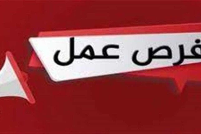 بالقطاع الخاص.. وظائف خالية بالقليوبية والتقديم عبر مديرية العملوظائف محافظة القليوبية.. أعلنت مديرية العمل بالقليوبية توفير 533 فرصة عمل بشركات