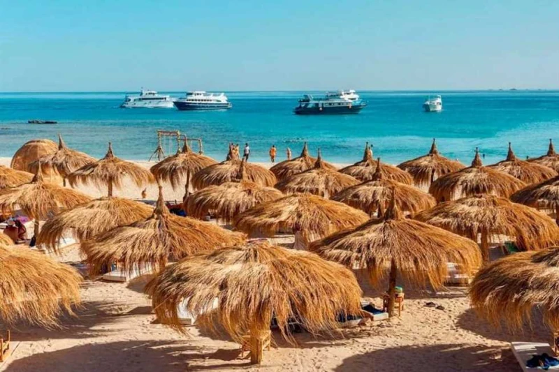 اليوم .. انطلاق ملتقى البيئة الساحلية ال12 بالغردقة تشهد مدينة الغردقة مساء اليوم الخميس انطلاق ملتقى البيئة الساحلية ال12 لهذا العام والذي يعقد