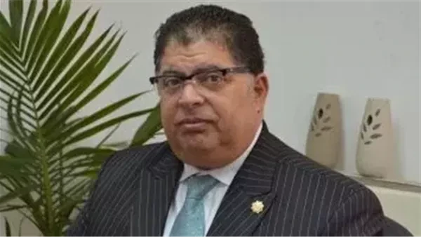 اتحاد المستثمرين: قصر رقابة المصانع على هيئة التنمية حماية للصناع من التشتتقال الدكتور أسامة حفيلة، نائب رئيس الاتحاد المصري لجمعيات المستثمرين، إن