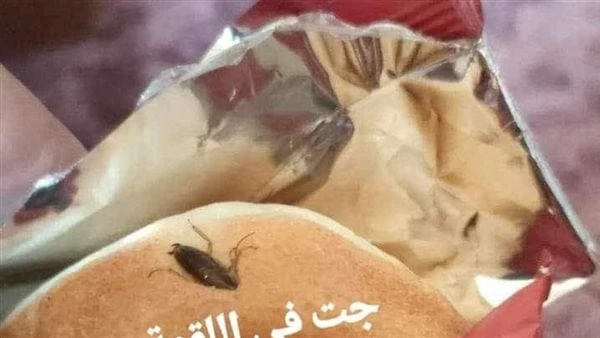 بعد ظهور صرصار.. رئيس لجنة سلامة الغذاء تحذر من باتيه ملوث نشرت الدكتورة شيرين زكي، رئيس لجنة سلامة الغذاء، على صفحتها الشخصية على فيسبوك منشورا