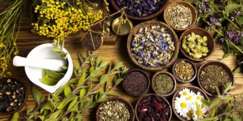 طبيب أزهرى لقناة الناس: استخدام الأعشاب للعلاج يسبب أضرارا للكبد (فيديو) ناس وخدمات ناس وخدمات، طبيب أزهرى لقناة الناس استخدام الأعشاب للعلاج يسبب