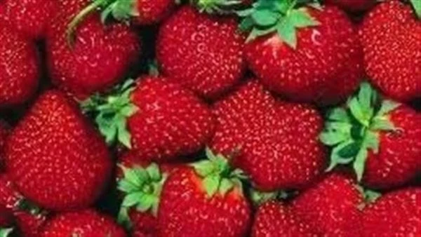 379.2 مليون دولار إجمالي الصادرات.. تعرف على مهام مجلس محصول الفراولةيعد محصول الفراولة من أهم المحاصيل التصديرية، وأصبح واحد من أهم مصادر الدخل