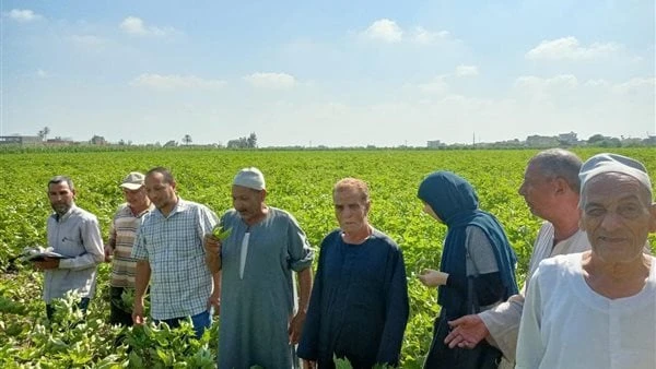 يوليو 2024.. حصاد مبادرة البحوث الزراعية لتفعيل دور المراكز الإرشاديةواصل مركز البحوث الزراعية وبالتنسيق مع قطاع الإرشاد الزراعى ومديريات الزراعة