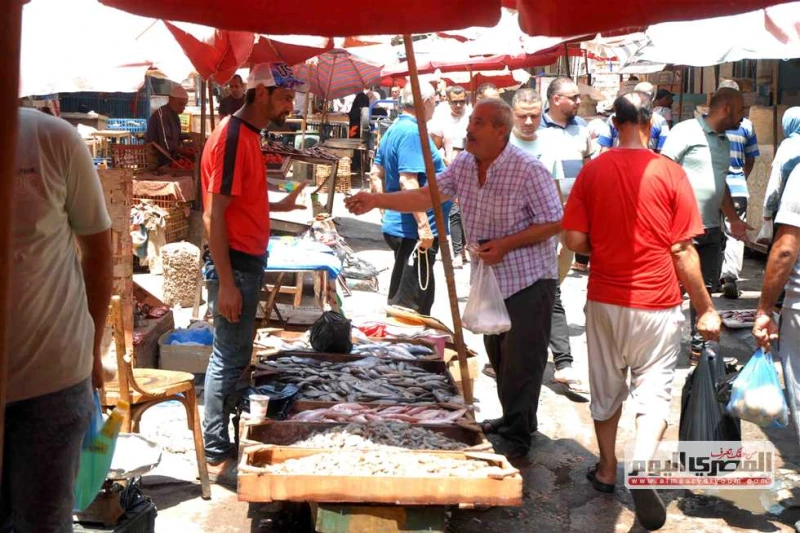 البلطي يبدأ من 70 جنيها.. أسعار السمك اليوم الثلاثاء 27 أغسطس 2024 بسوق العبور سجلت أسعار الأسماك، اليوم الثلاثاء 27أغسطس 2024، إرتفاع في الأسعار، على مستوي جميع الأصناف ،خلال تعام