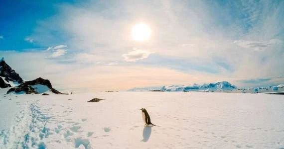 درجة حرارة قياسية في القارة القطبية الجنوبية وتحذيرات من تأثيرات التغير المناخي لايف ستايل شاهد المقال التالي من صحافة البحرين عن درجة حرارة قياسية