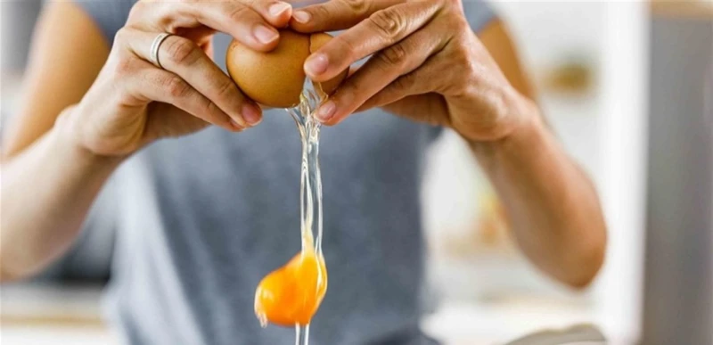 البيض يساعد في الحفاظ على ذاكرة المرأة.. هذا ما كشفته آخر الدراسات صحة صحة، البيض يساعد في الحفاظ على ذاكرة المرأة هذا ما كشفته آخر الدراسات،تحقق