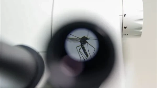 أمريكا تكشف عن وفاة أول حالة بشرية مصابة ب التهاب الدماغ الخيليأعلن مسؤولون أمريكيون أن أحد سكان نيو هامبشاير قد توفي جراء إصابته بعدوى دماغية نادرة تعرف باسمالتهاب الدماغ الخيلي ا