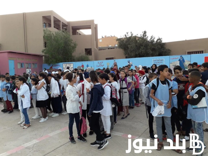 متى تبدأ السنة الدراسية الجديدة في سلطنة عمان 2025؟.. وزارة التربية والتعليم بسلطنة عمان توضح .() ارتفعت مؤشرات البحث من قبل عدد كبير من الطلاب