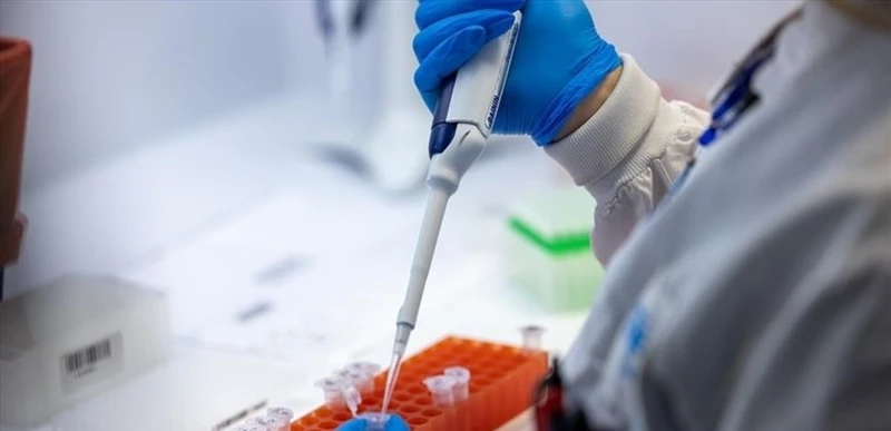 منظمة الصحة تعلن جدري القرود طوارئ صحية عالمية صحة شاهد المقال التالي من صحافة لبنان عن منظمة الصحة تعلن جدري القرود طوارئ صحية عالمية، منظمة الصحة