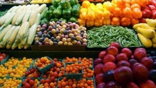 الزراعة: اتحاد الحاصلات البستانية يلعب دورا أساسيا في تقديم الدعم والإرشاد الزراعيأكد رئيس الاتحاد العام لمنتجي ومصدري الحاصلات البستانية التابع