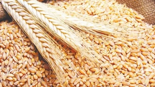 برلماني : ارتفاع الرسوم وتكاليف التمويل يعيق تنمية الصناعات الوطنيةقال النائب مجدي الوليلي، عضو غرفة صناعة الحبوب باتحاد الصناعات المصرية أن الاهتمام