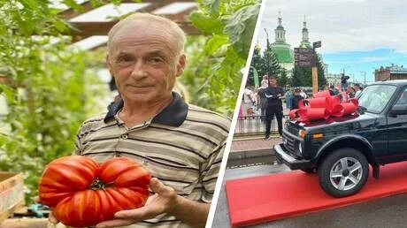 روسيا.. جائزة الطماطم العملاقة يحصدها بستاني من سيبيريا متفرقات متفرقات، روسيا جائزة الطماطم العملاقة يحصدها بستاني من سيبيريا،وقام بستاني من مينوسينسك بزراعة طماطم عملاقة، وحصل مق