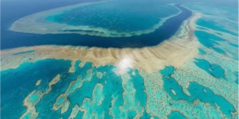 يهدد وجود الشعاب ..الحاجز المرجانى العظيم يواجه أعلى درجات حرارة فى المحيط منذ 400 عاما ناس وخدمات شاهد المقال التالي من صحافة مصر عن يهدد وجود