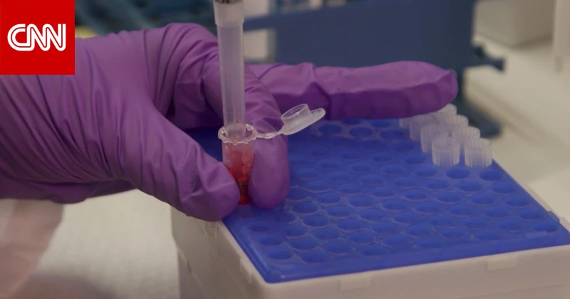 يغير قواعد اللعبة.. اختبار جديد يكتشف إصابات الدماغ بسرعة كبيرة تكنولوجيا شاهد المقال التالي من صحافة الأفاق عربيةية عن يغير قواعد اللعبة اختبار جديد