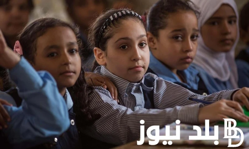 التربية والتعليم توضح حقيقة تأجيل الدراسة وموعد بدء العام الدراسي الجديد بالمدارس في مصر .() تتصاعد التساؤلات حول مصير العام الدراسي الجديد مع تداول