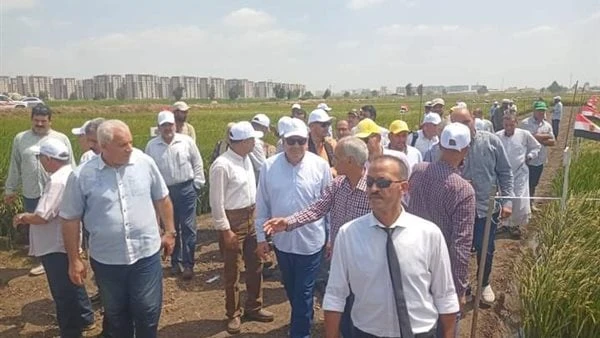 البحوث الزراعية ينظم يوم الحقل السنوي لمحصول الذرة الشامية والأرز بسخاشهد الدكتور عادل عبد العظيم رئيس مركز البحوث الزراعية يرافقه سفير دولة تشاد بالقاهرة والدكتور محمد سليمان رئيس