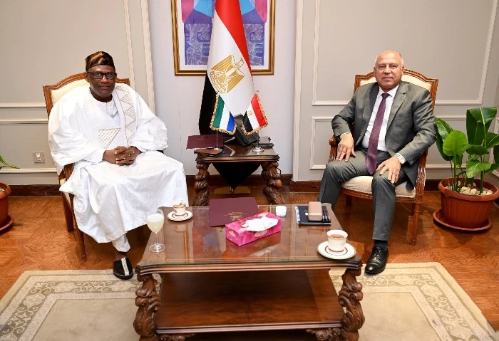 وفد من الطرق والكباري يزور سيراليون في سبتمبر لنقل التجربة المصرية أكد الفريق مهندس كامل الوزير، نائب رئيس مجلس الوزراء للتنمية الصناعية، عمق العلاقات التي تربط بين مصر وجمهورية سي