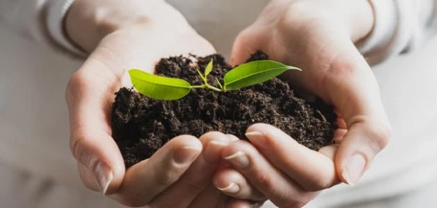 كيف أعبر عن حبي لوطني.. كيف يمكن ان تعبر عن حبك لوطنك؟من خلال هذا المقال سوف نقوم بعرض كل ما تريد معرفته عن كيف أعبر عن حبي لوطني، وسوف نوضح كيف يمكن