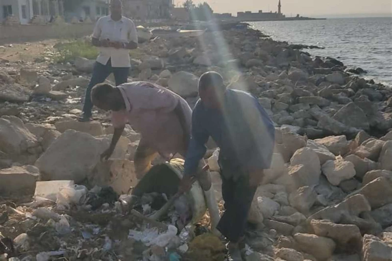 رفع 300 طن مخلفات صلبة من شاطئ بحيرة قارون بالفيوم فى إطار توجيهات الدكتورة ياسمين فؤاد وزيرة البيئة بمتابعة أعمال إعادة التوازن البيئي لبحيرة قارون